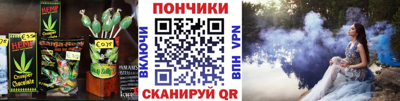 Canna-Cookies марихуана  Купить закладки  Светогорск 