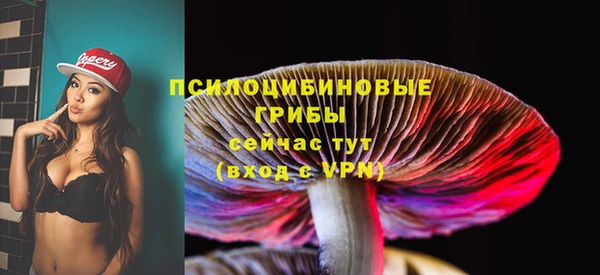 Альфа ПВП Вязьма