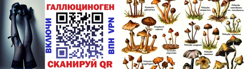 Купить где  Светогорск  Галлюциногенные грибы MAGIC MUSHROOMS 